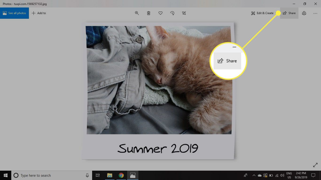 Dela-knappen i Foton för Windows 10