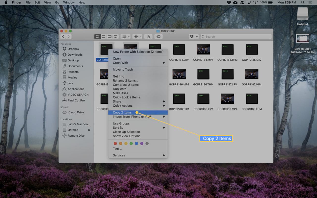 Skärmdump av kopiering av filer i Finder.
