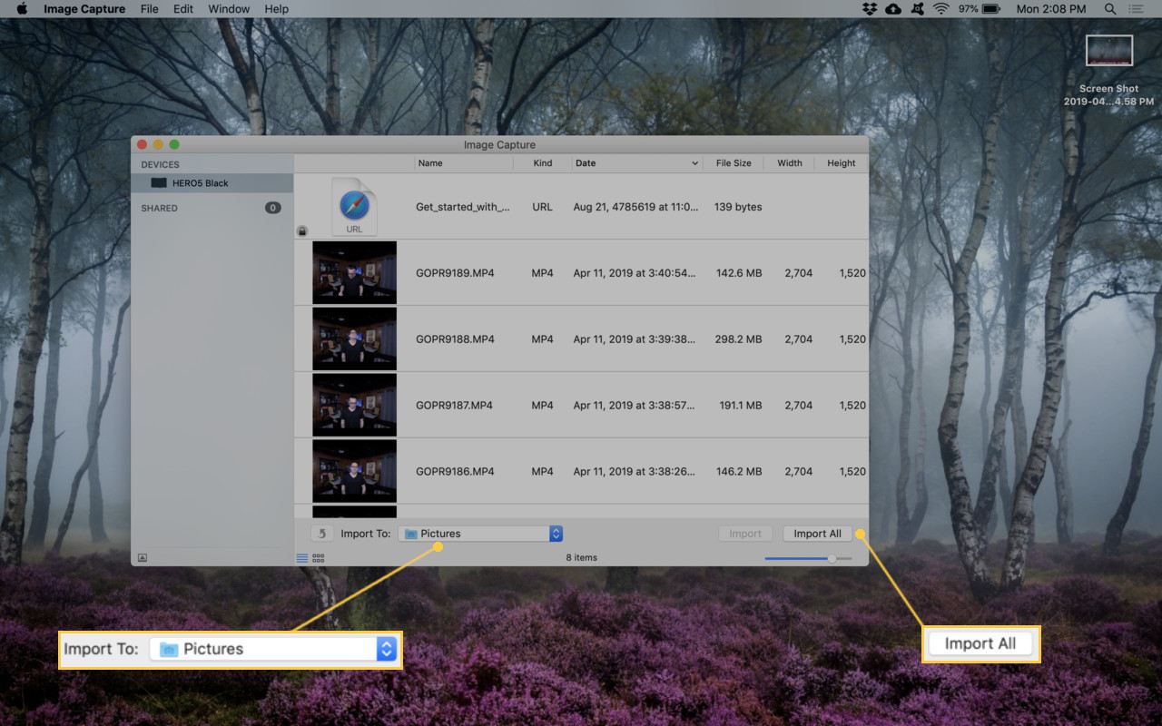 Skärmdump för att importera videor med Image Capture.