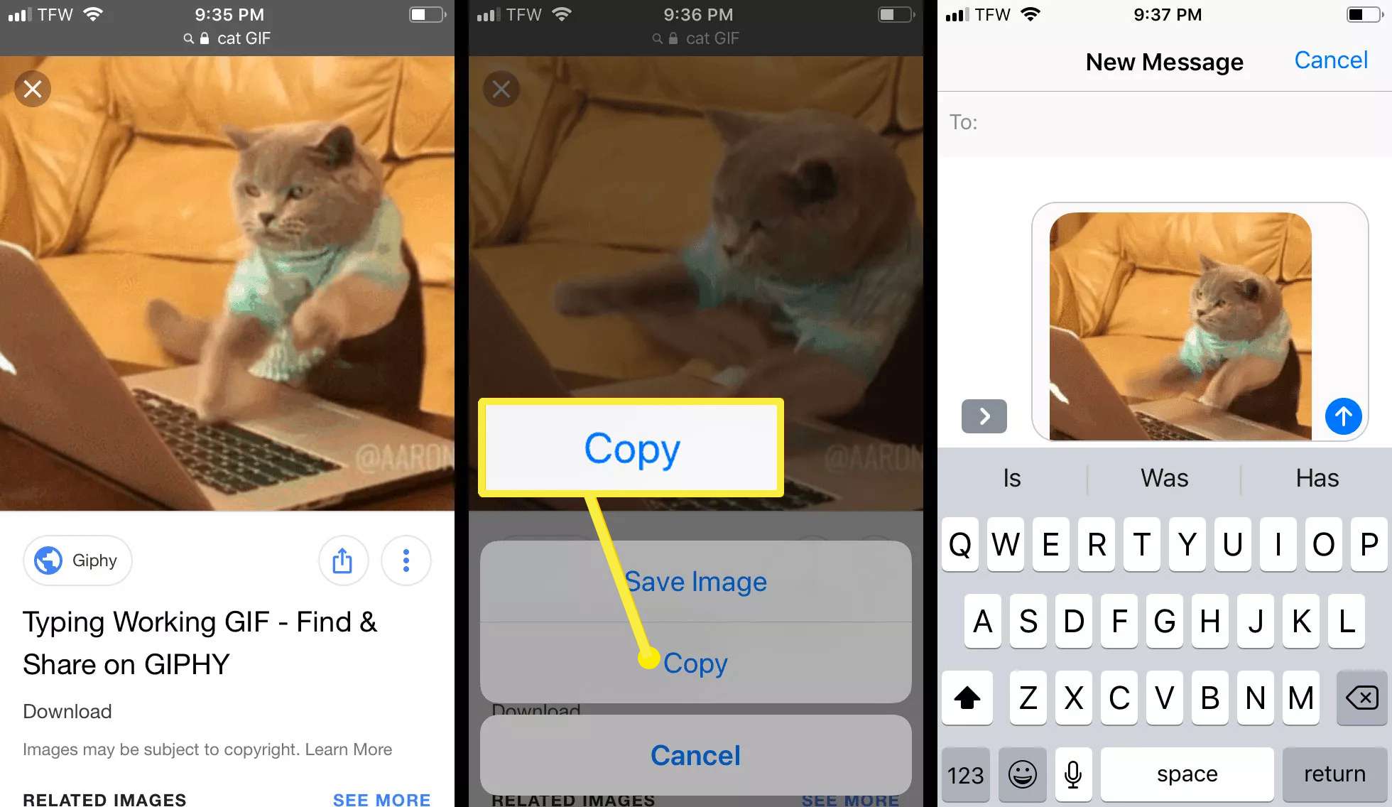 Spara en GIF från internet för att skicka på din iPhone