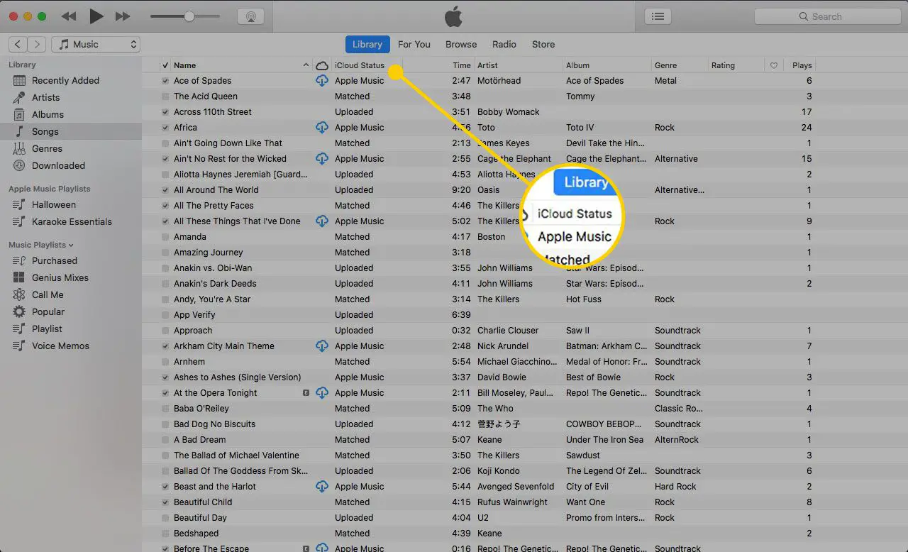 iTunes på en Mac med iCloud Status-rubriken markerad