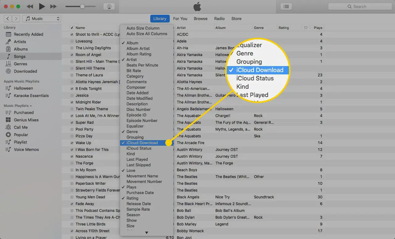 iTunes på en Mac med iCloud-nedladdningsmenyinställningen markerad