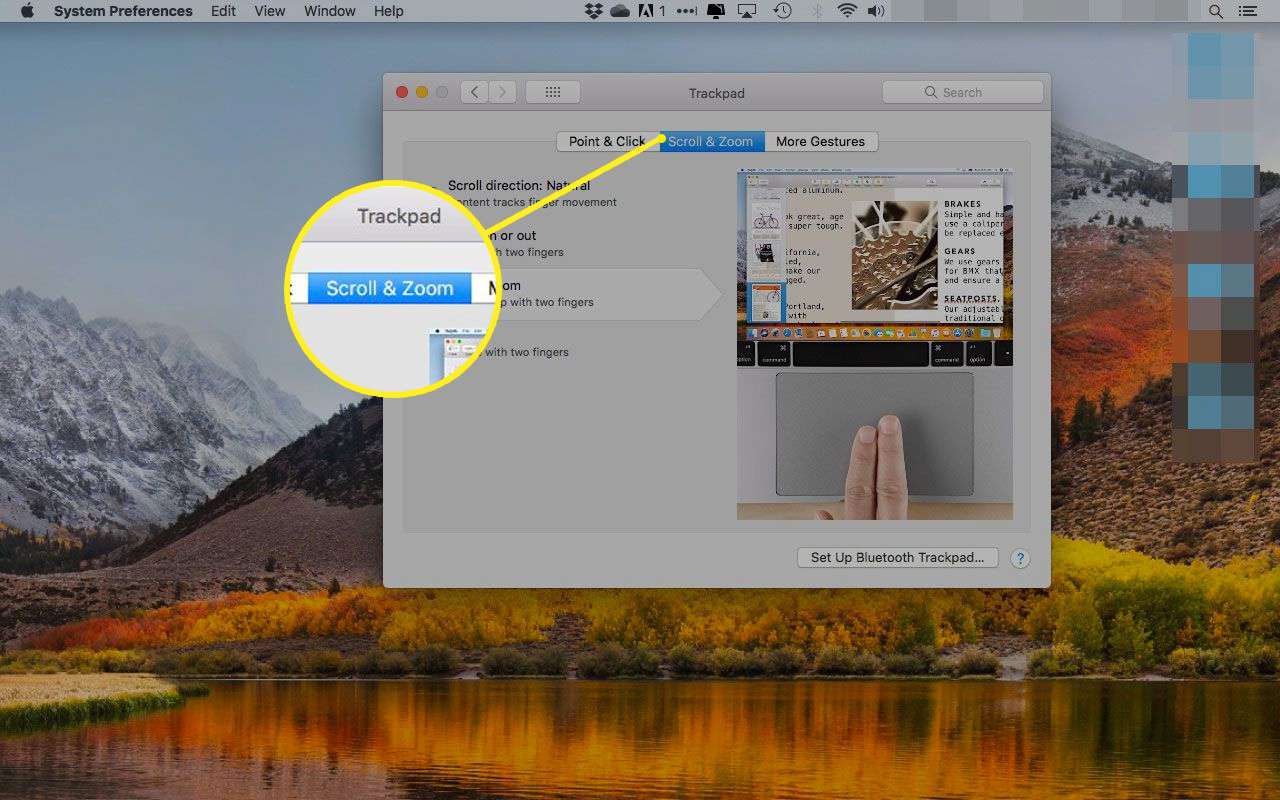 Styrplattans preferenser i macOS med fliken Scroll & Zoom markerad