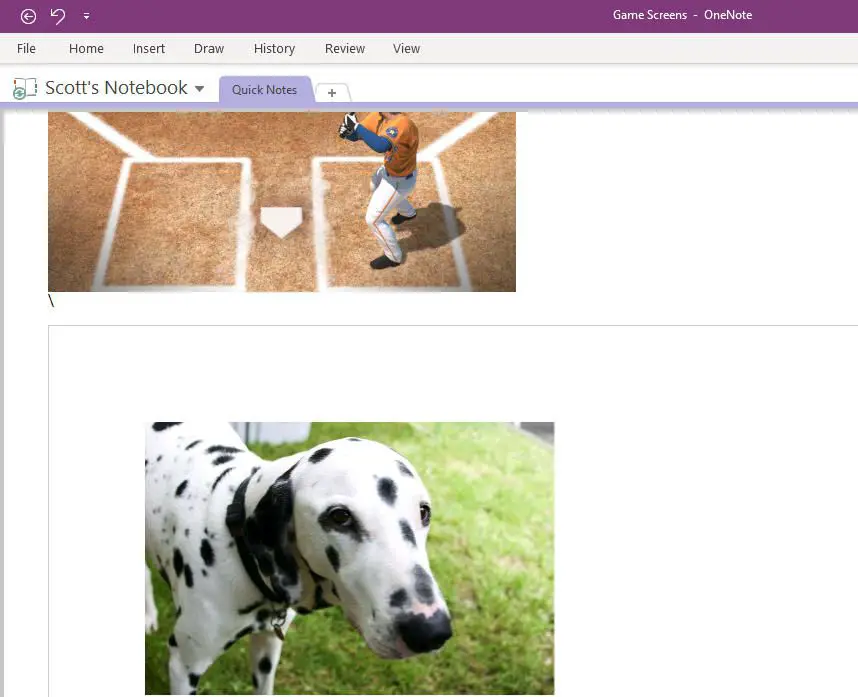 skärmdump av en OneNote för Windows 10-anteckningsbok