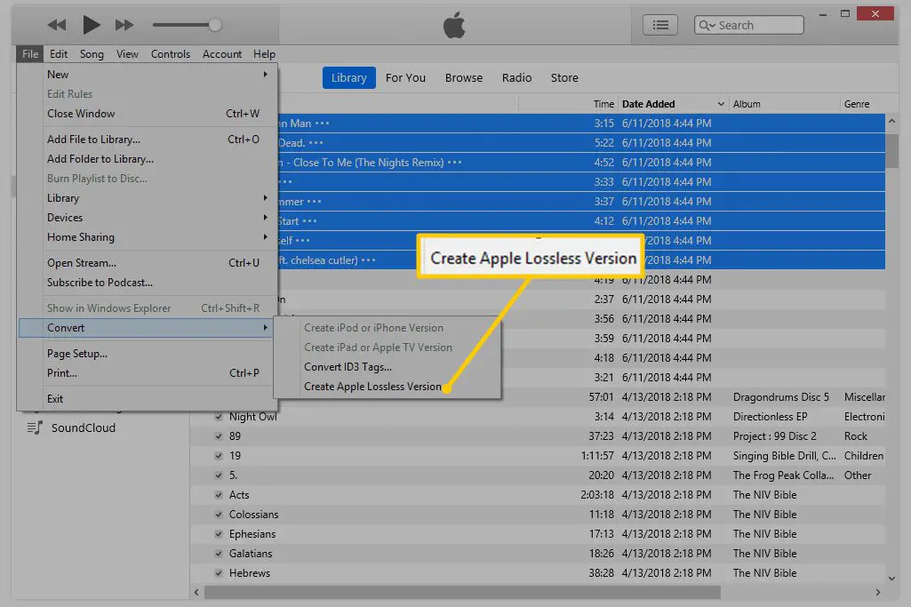 Skapa menyalternativet Apple Lossless Version i iTunes