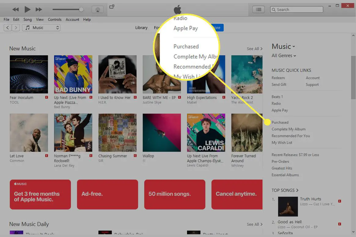 En skärmdump av iTunes med rubriken Inköpt markerad