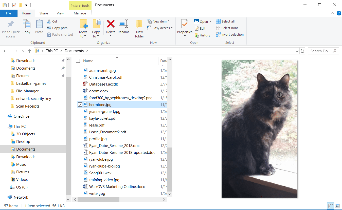 En skärmdump av Windows 10 File Explorer