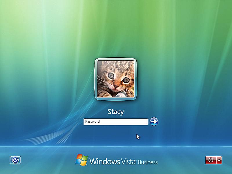 Skärmdump av inloggningsskärmen för Windows Vista Safe Mode