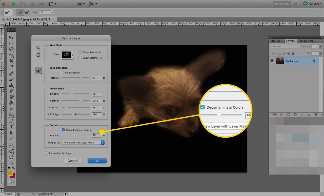 Förfina Edge-verktyget i Photoshop med Kontrollera dekontaminerade färger och skjutreglaget markerat