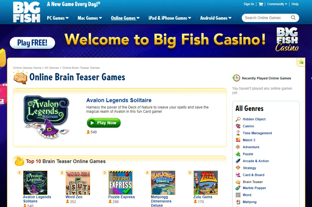 Hjärnspelspel online på BigFishGames.com