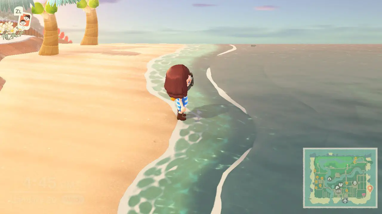 Närmar sig havet för att simma i Animal Crossing.