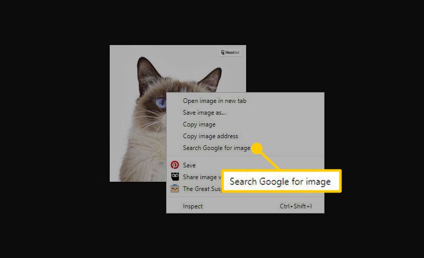 Skärmdump av högerklickmenyn på en bild med 'Sök Google efter bild' markerat.