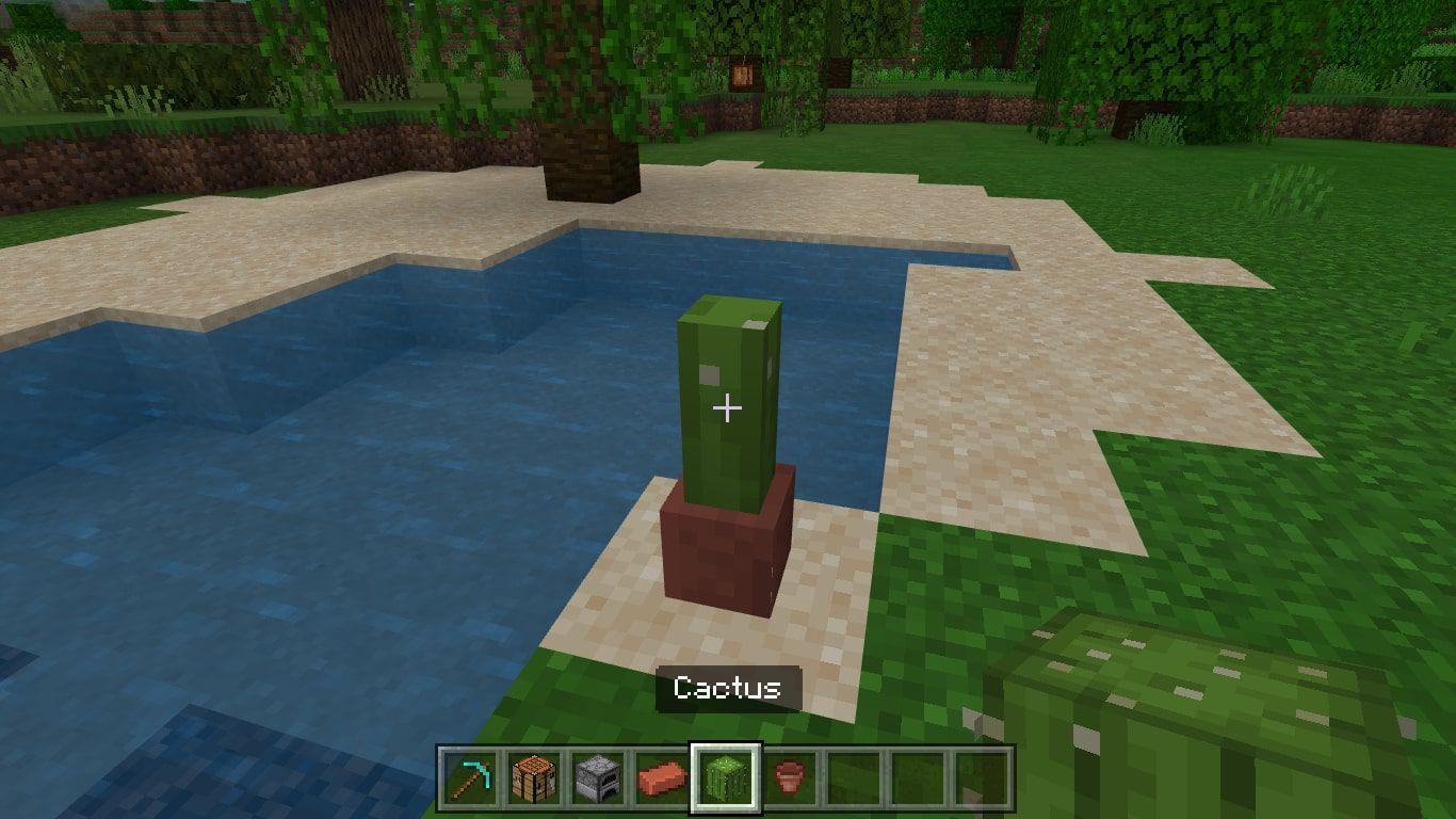 En kaktus i en blomkruka i Minecraft