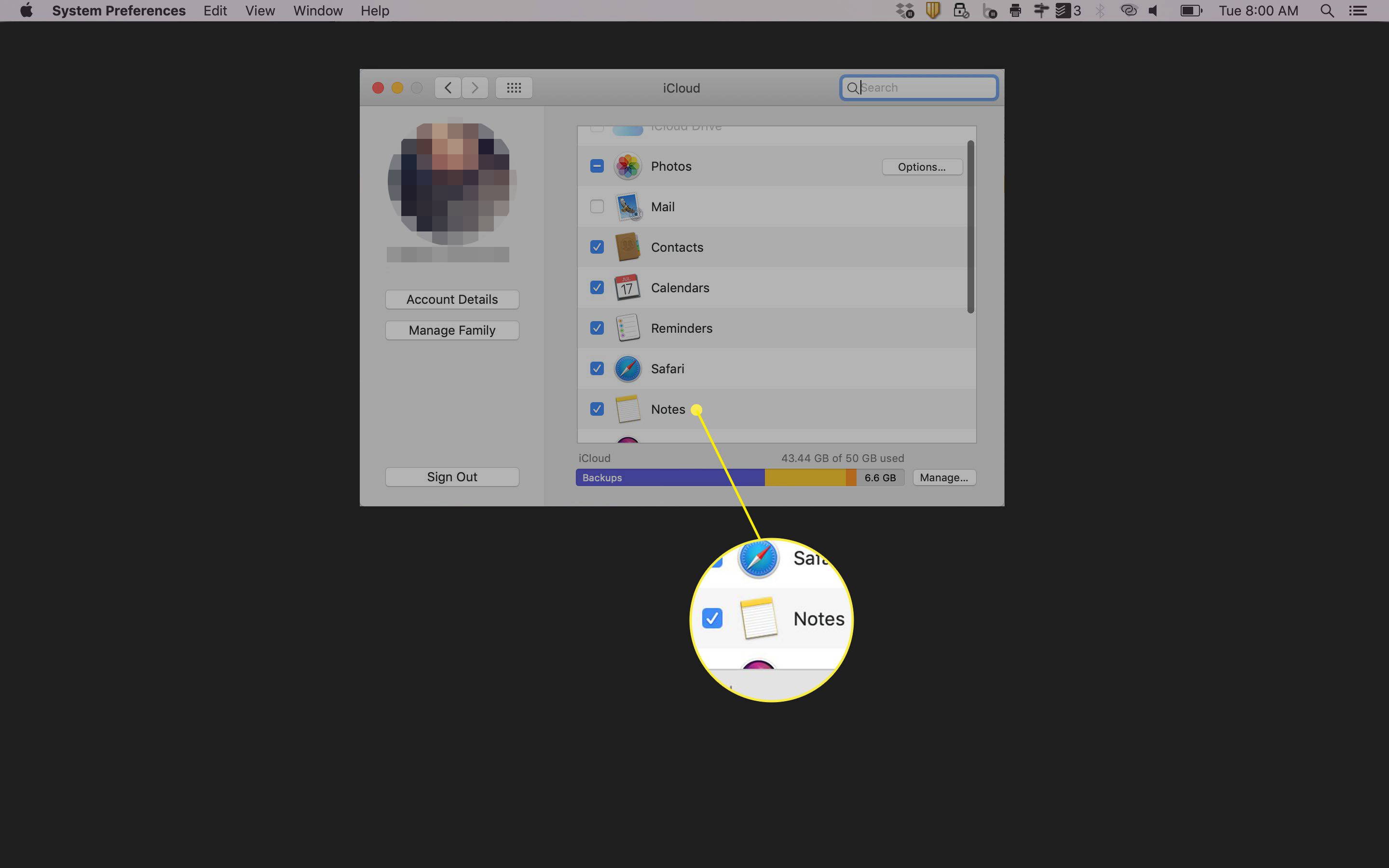 Skärmdump av iCloud-synkroniseringsinställningar på en Mac