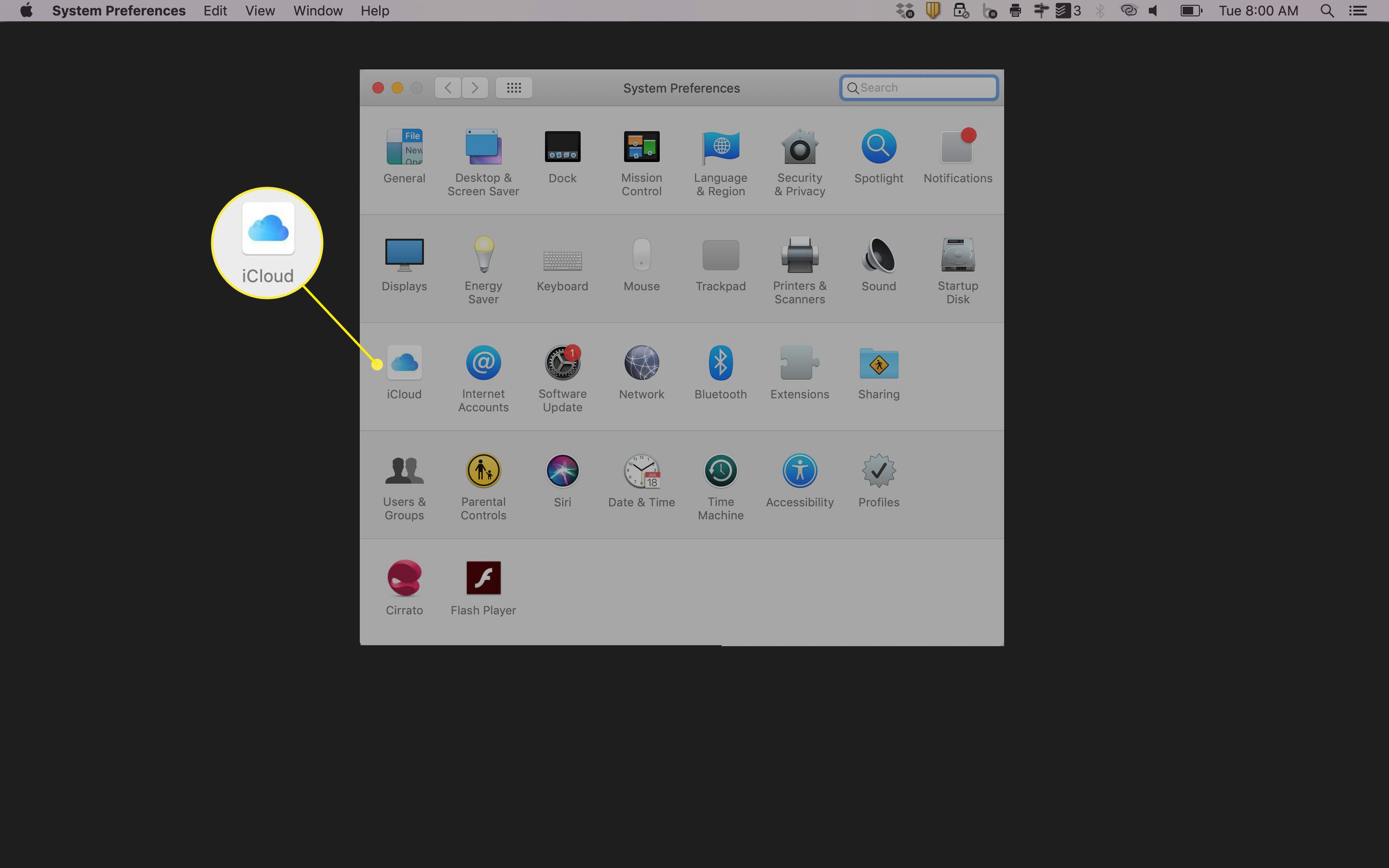 Skärmdump av fönstret Systeminställningar på Mac
