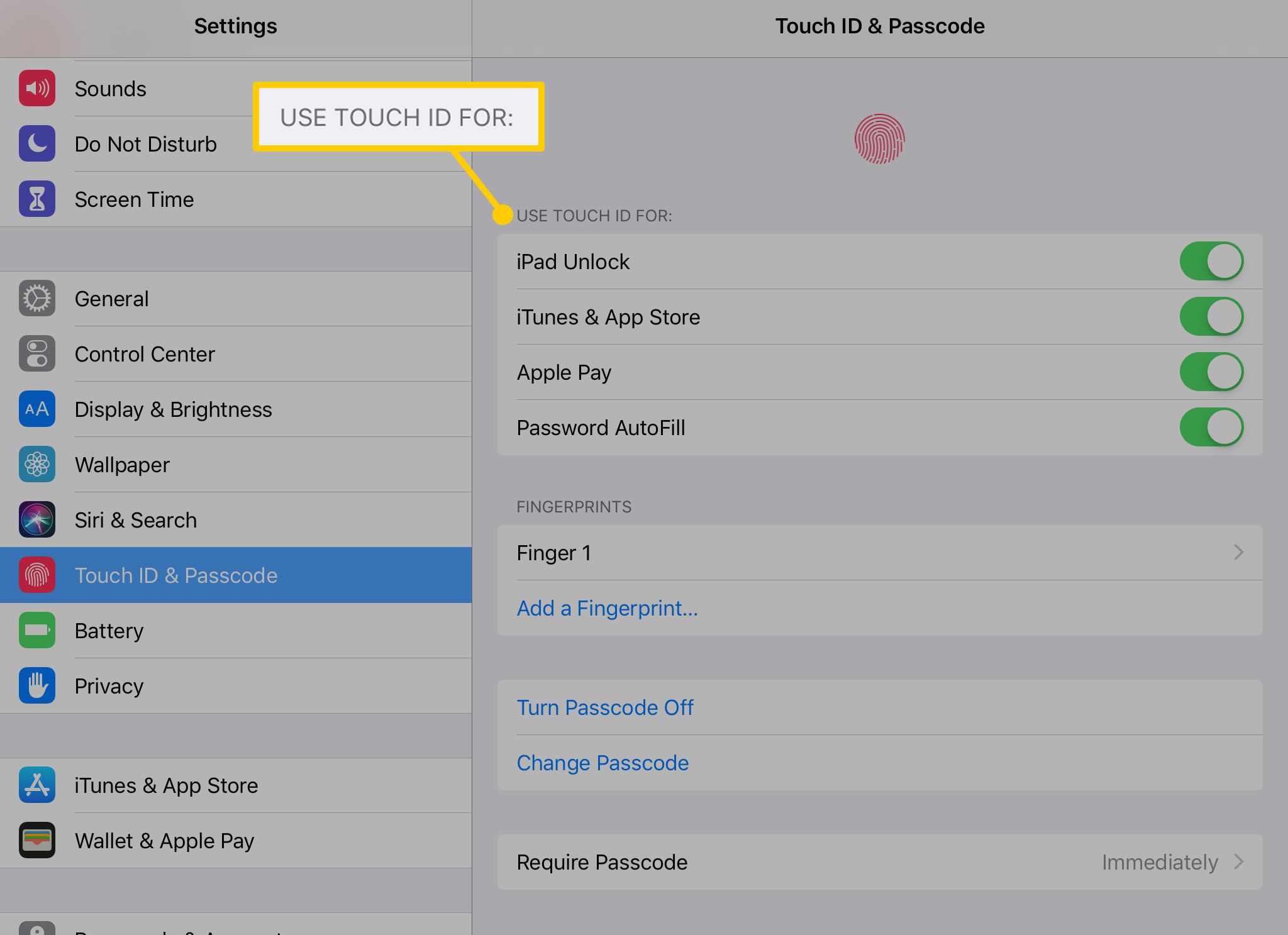 Använd Touch ID för inställningar på en iPad