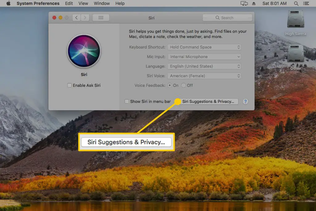 Siri Förslag och sekretess i Siri-inställningar på en Mac