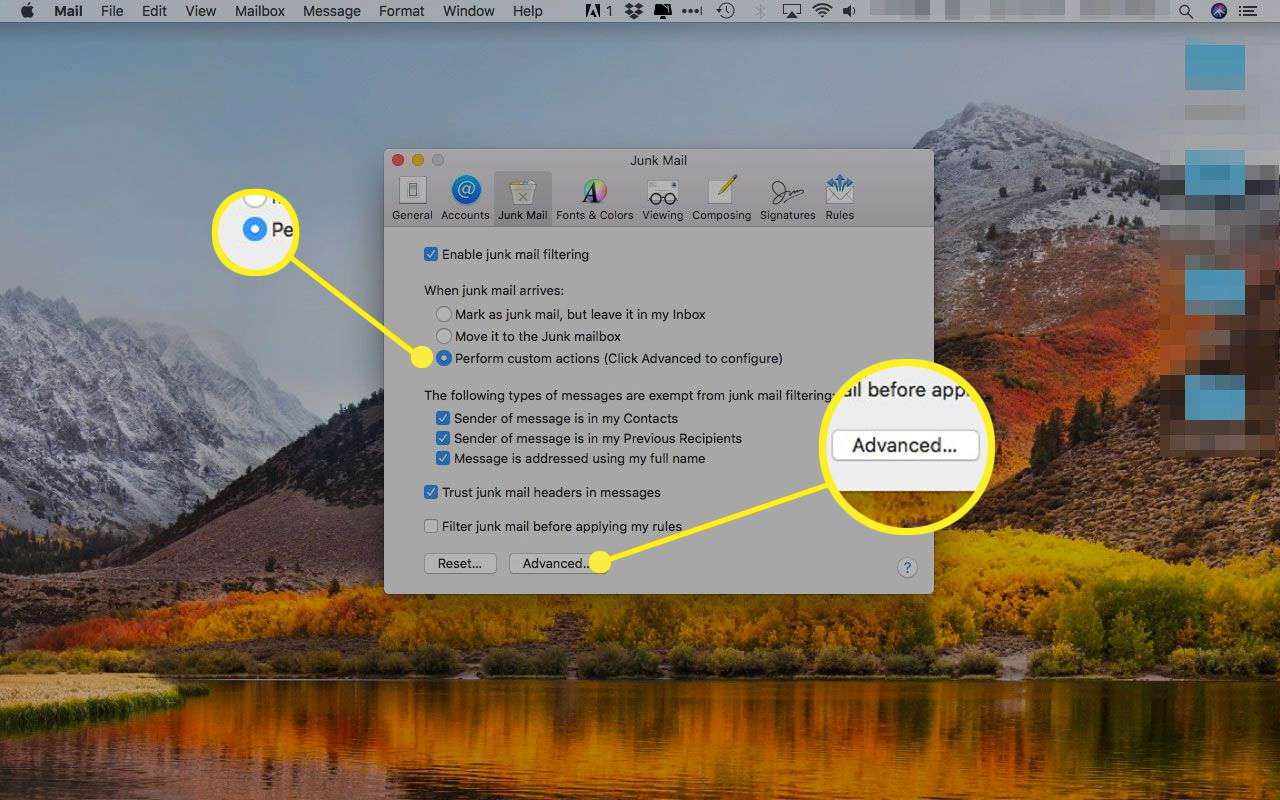 Apple Mails inställningar för skräppost med "Utför anpassade åtgärder" och "Avancerad" markerade knappar