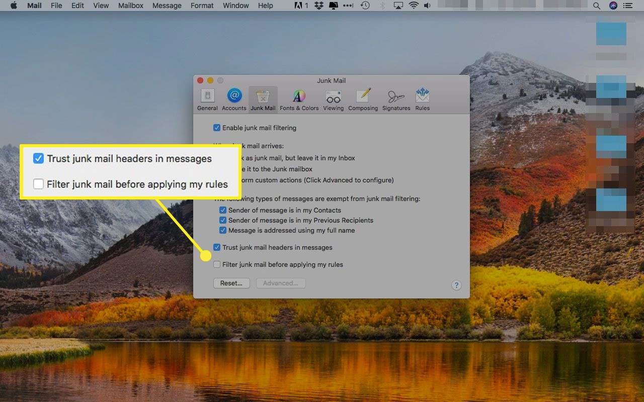 Inställningar för skräppost i Apple Mail med extra filtreringsalternativ markerade