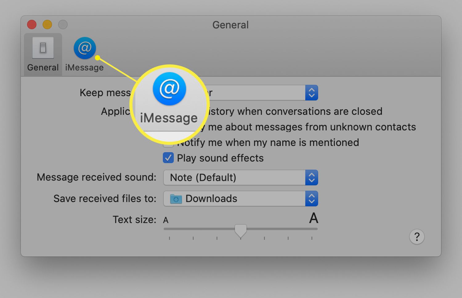 Meddelanden allmänna inställningar på Mac som visar fliken ikonen iMessage