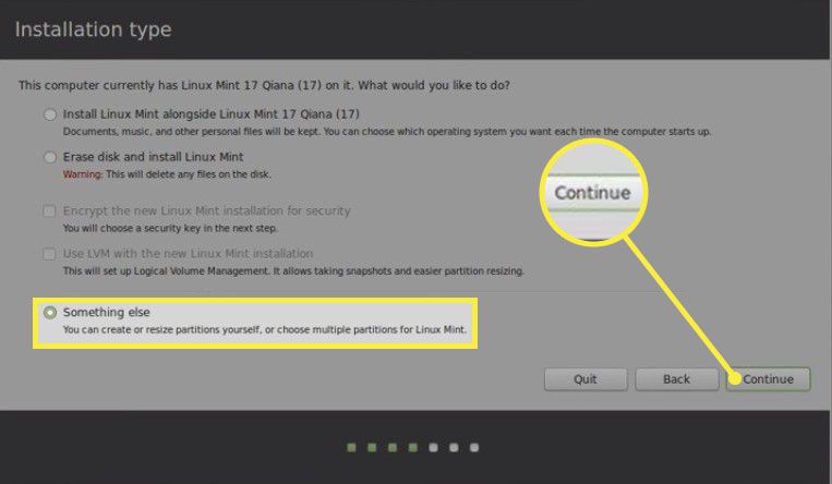 Välj något annat och välj Installera nu på Linux Mint Installation Type-skärmen.