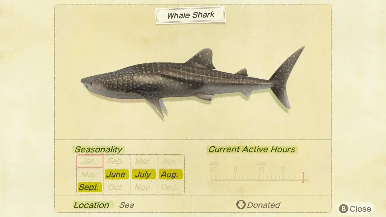 Animal Crossing: New Horizons whale shark Critterpedia post