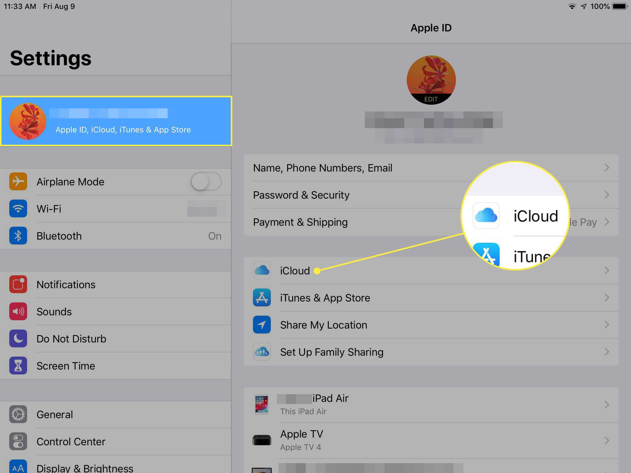 En skärmdump av iPad -inställningarna med Apple -ID och iCloud -rubrik markerad