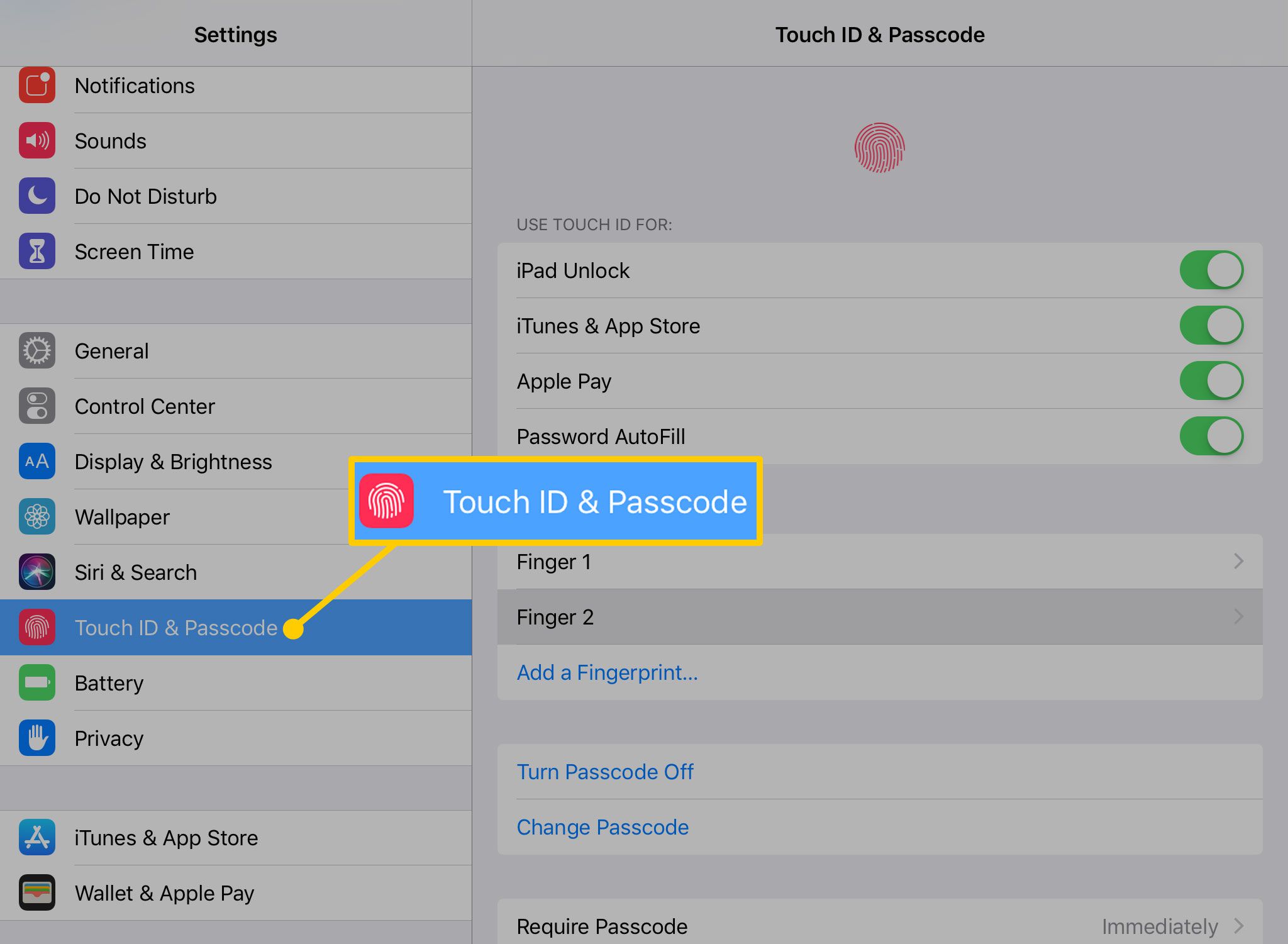 Inställningen för Touch ID och lösenord på en iPad