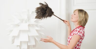 woman dusting a lamp with a feather duster 535256610 5b377454c9e77c001ae7dfcb