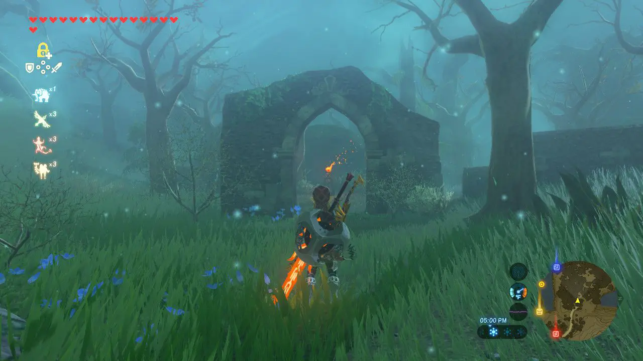 Gå in i Lost Woods i The Legend of Zelda: Breath of the Wild