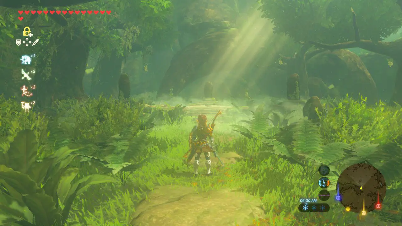 Anländer till Master Sword -platsen i The Legend of Zelda: Breath of the Wild.