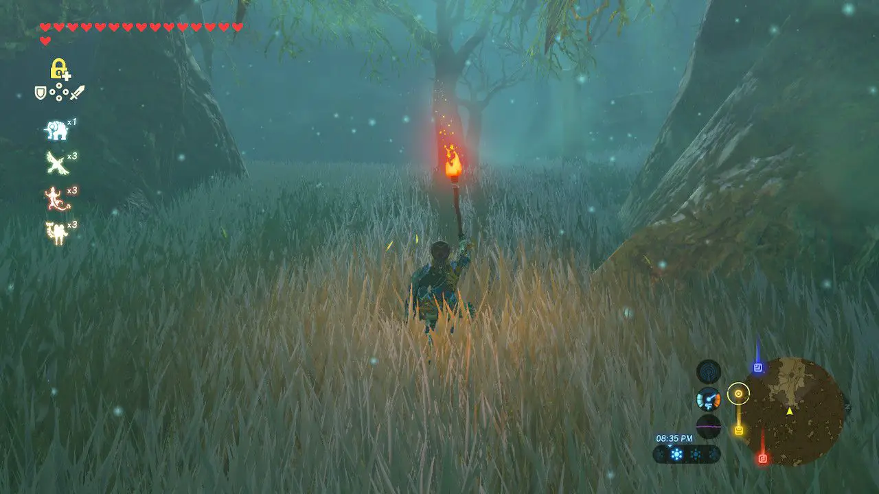 Hitta vägen till Master Sword i The Legend of Zelda: Breath of the Wild.