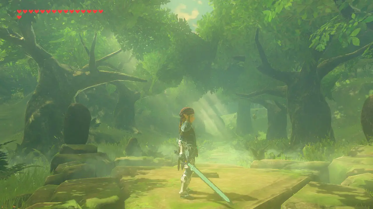 Hanterar svärdet i The Legend of Zelda: Breath of the Wild.