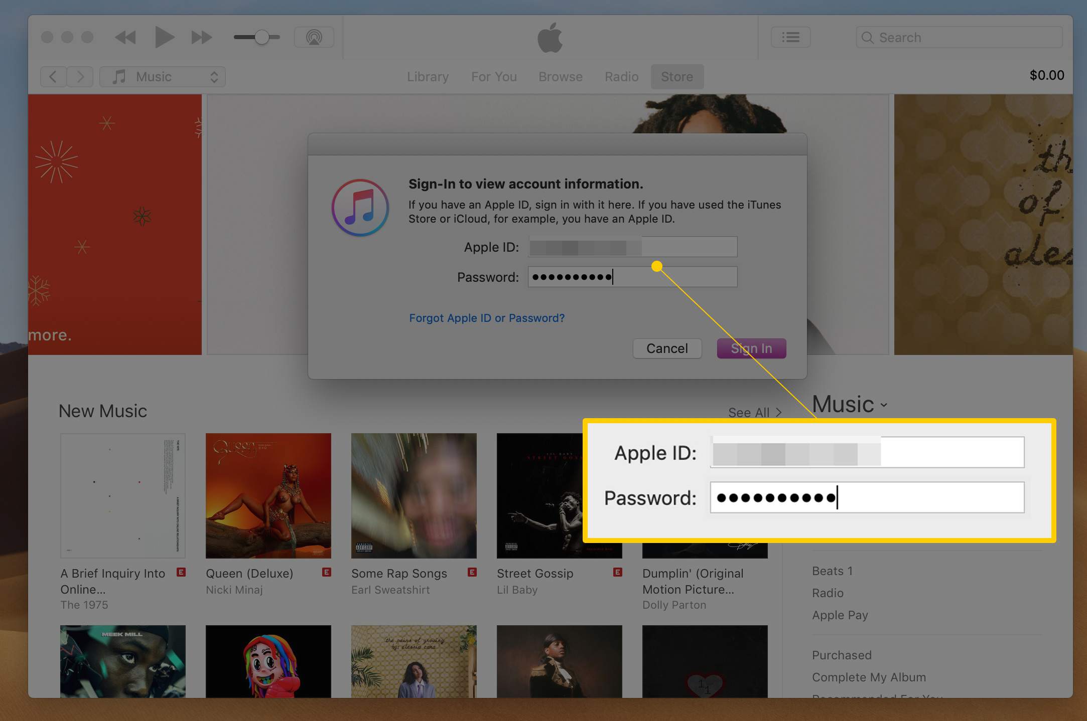 Inloggningsdialogrutan i iTunes med fält för Apple ID och lösenord