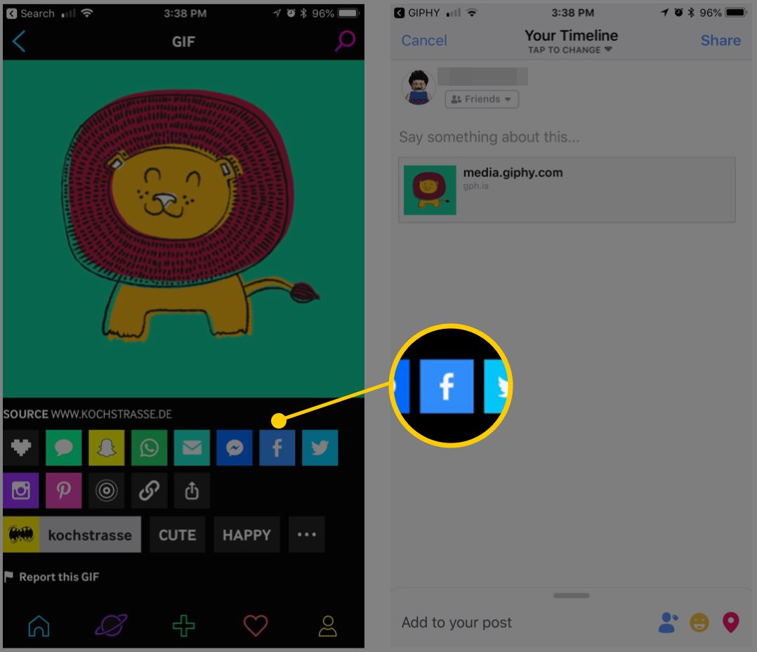 Skärmdump av Giphy -appen på iOS som visar Facebook -inläggsknappen
