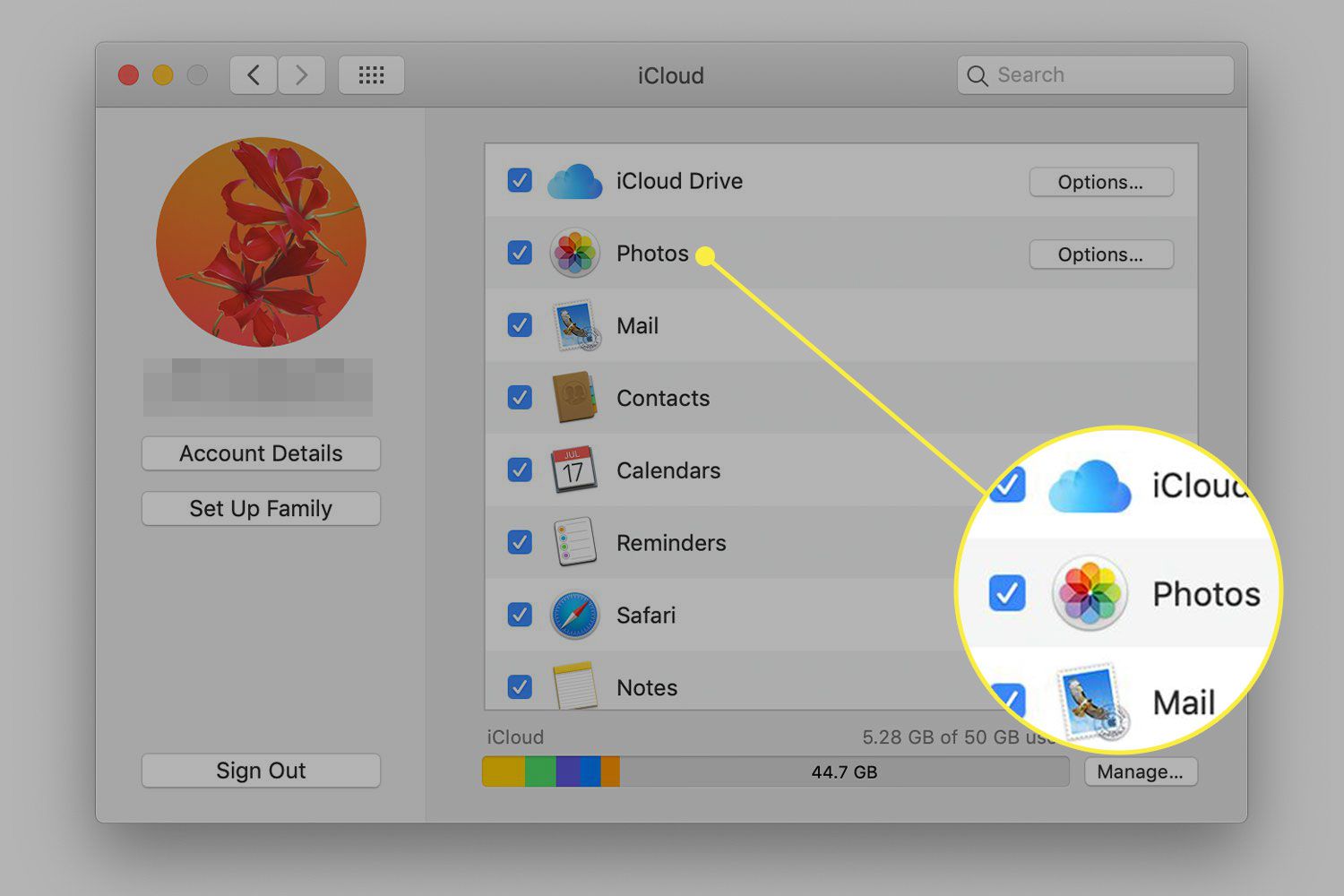 En skärmdump av iCloud -inställningarna i macOS med alternativet Foton markerat