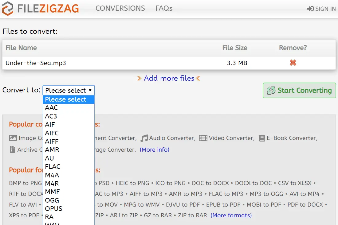 FileZigZag konverterar en MP3 -fil