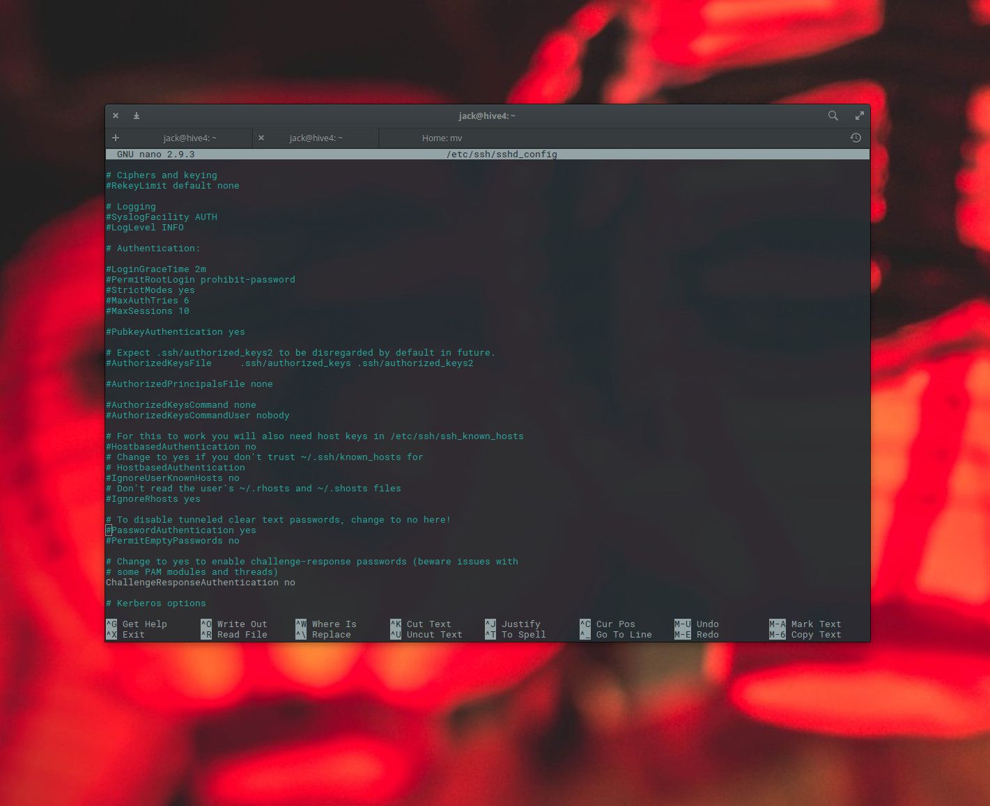 Skärmdump av filen sshd_config som finns på Linux.