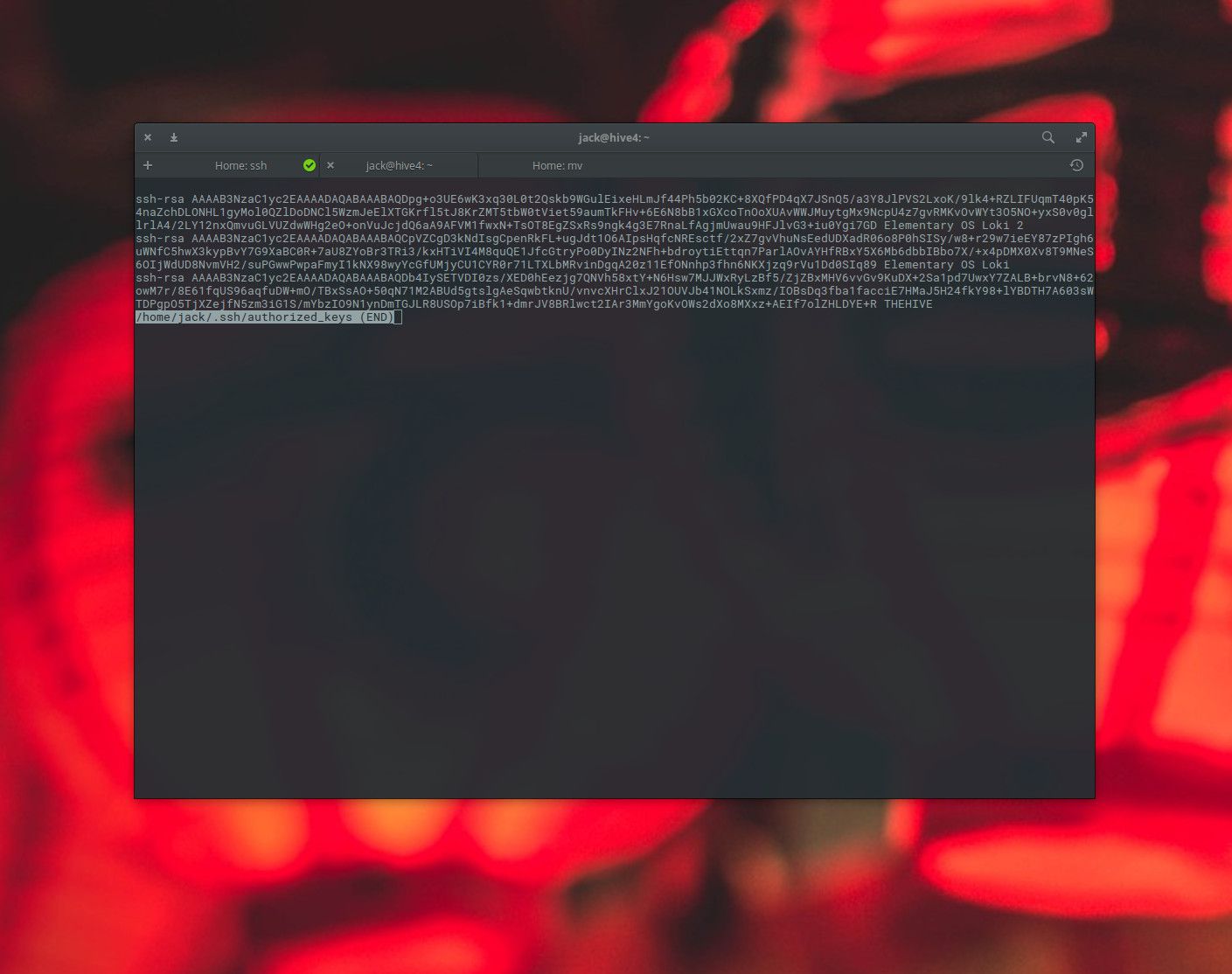 Skärmdump av filen Author_keys som finns på Linux.