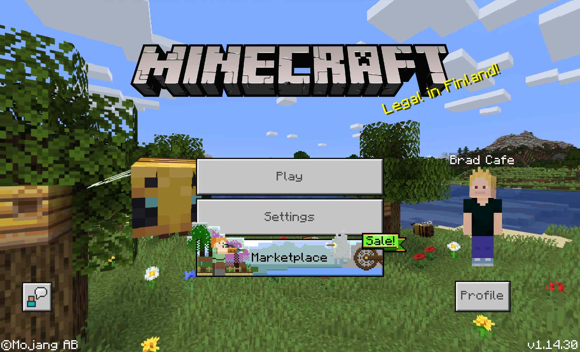 Minecraft för Windows 10 videospel.
