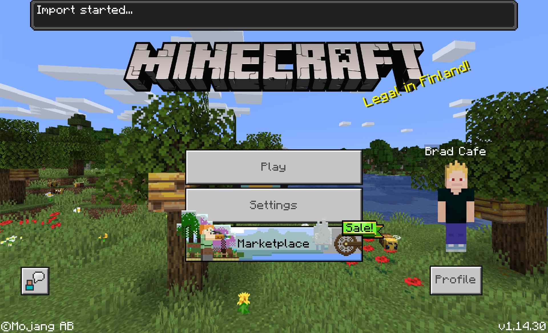 Minecraft för Windows 10 videospel.