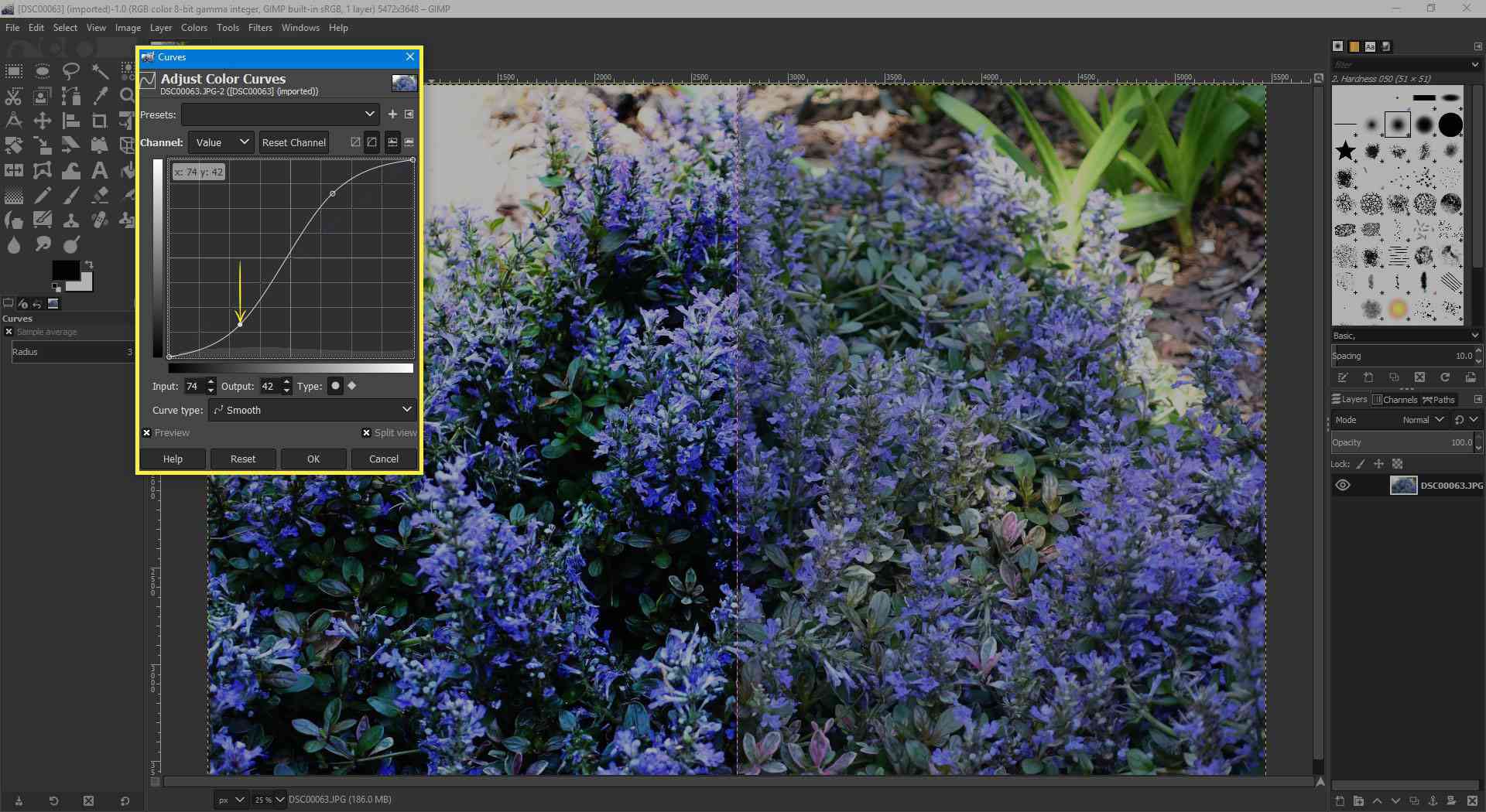 En skärmdump av GIMP med Curves -fönstret markerat