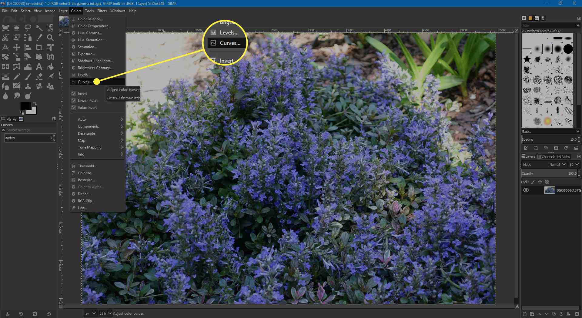 En skärmdump av GIMP med alternativet Curves under menyn Färger markerad