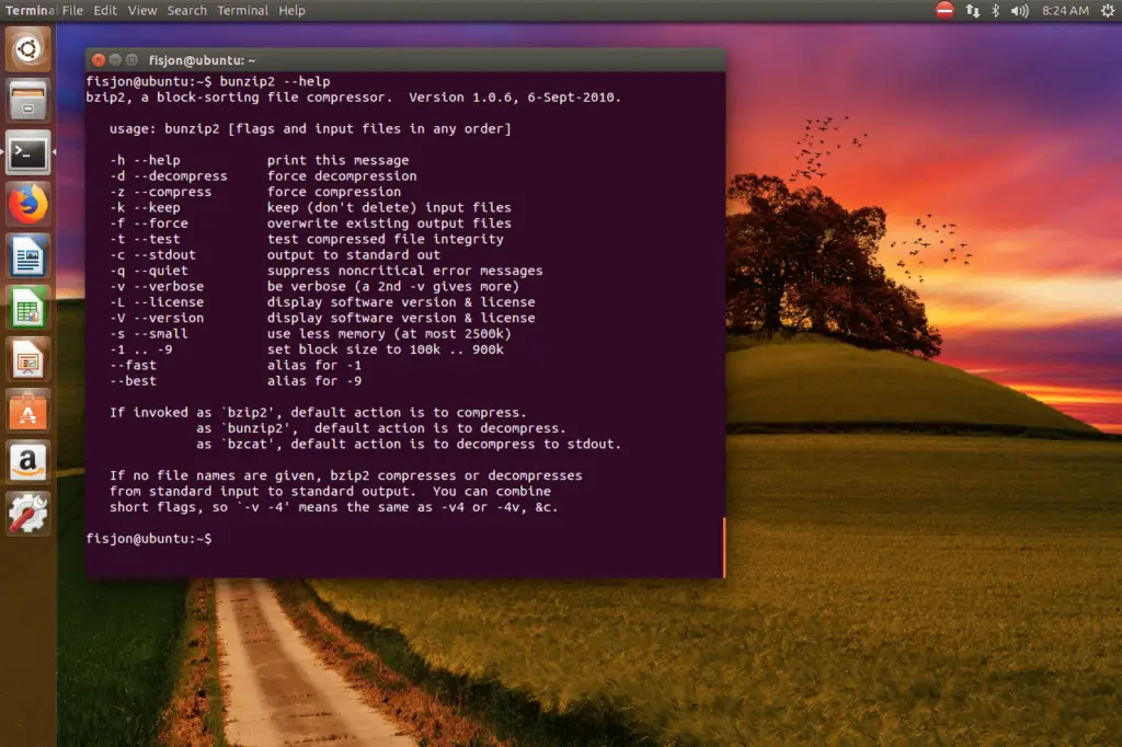 bunzip2 ubuntu terminal 5c507e63c9e77c00014afd12