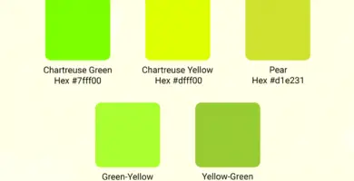 what color is chartreuse 1077383 add97fe0a4184f1cabbb7f7fb1f46044