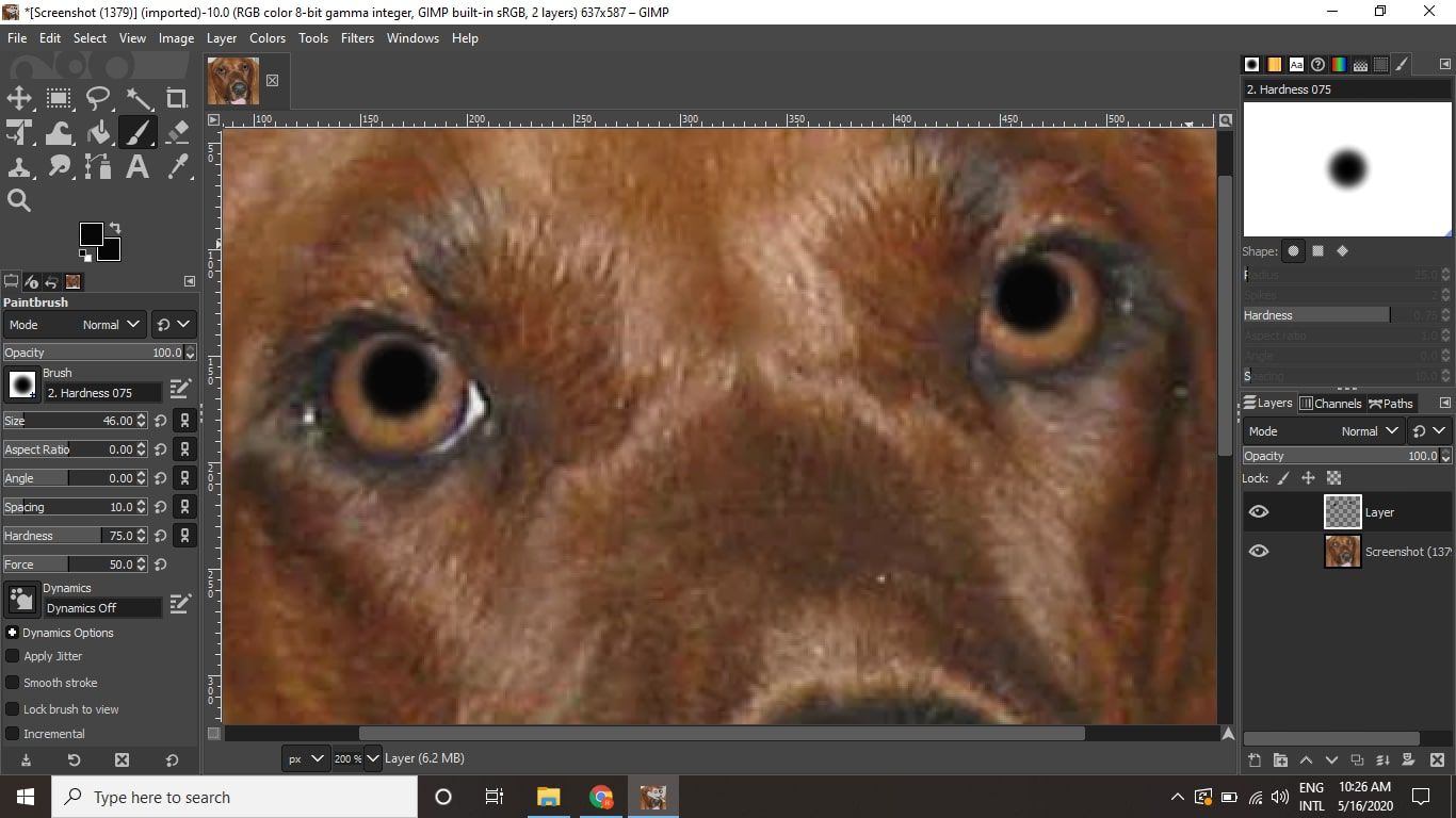 Zooma in och klicka på varje öga för att måla över husdjurets ögonreflektioner.