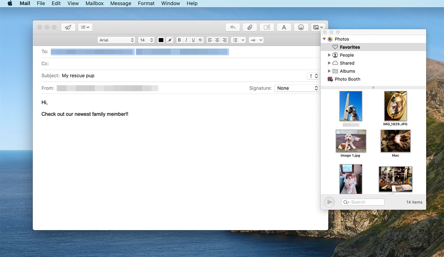 Miniatyrbilder i Photo Browser visas i Mac Mail