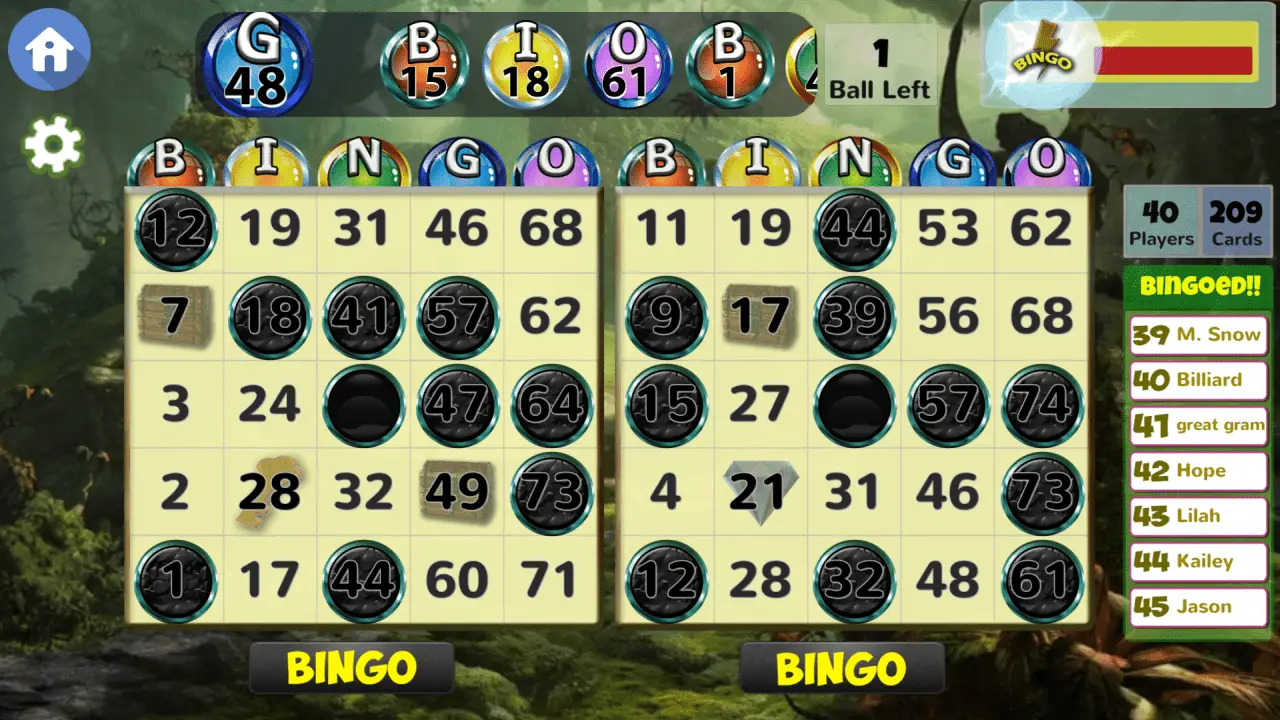 Skärmdump av att spela Blackout Bingo