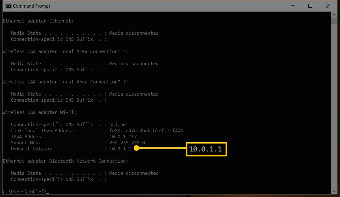 Skärmdump av kommandotolken i Windows som visar standardgateway för 10.0.1.1