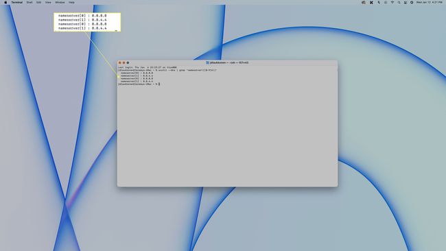 DNS-information visas i Terminal på macOS.